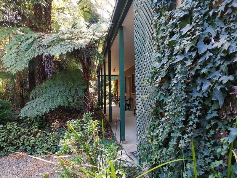 Accommodation block at Springbrook Rainforest Retreat